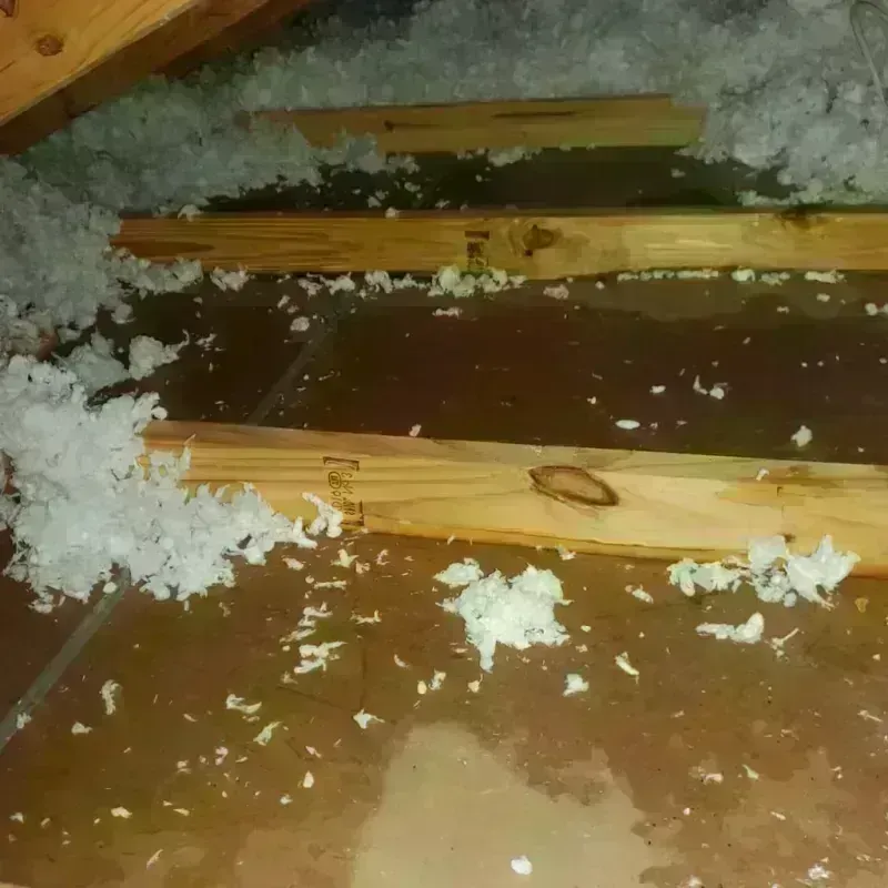 Attic Water Damage in Coldspring, TX